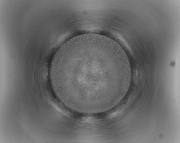 X0000092080259200709121450