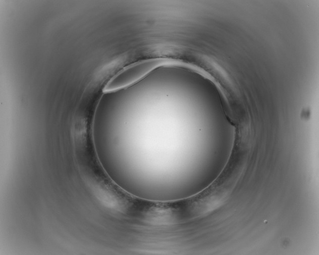 X0000092080260200709121450