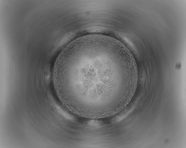 X0000092080261200709121450