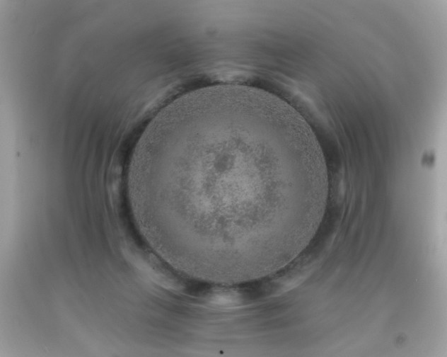 X0000092080263200709121450