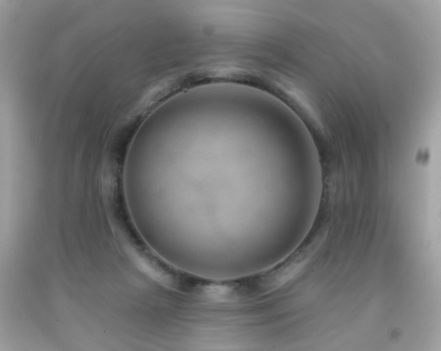 X0000092080265200709121450