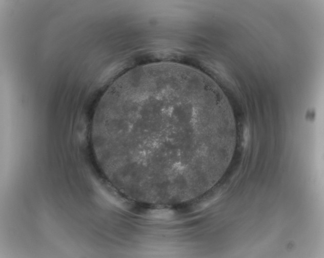 X0000092080266200709121450