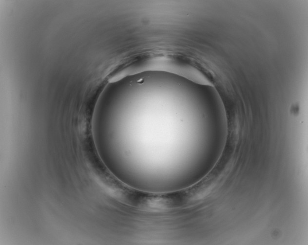 X0000092080268200709121450