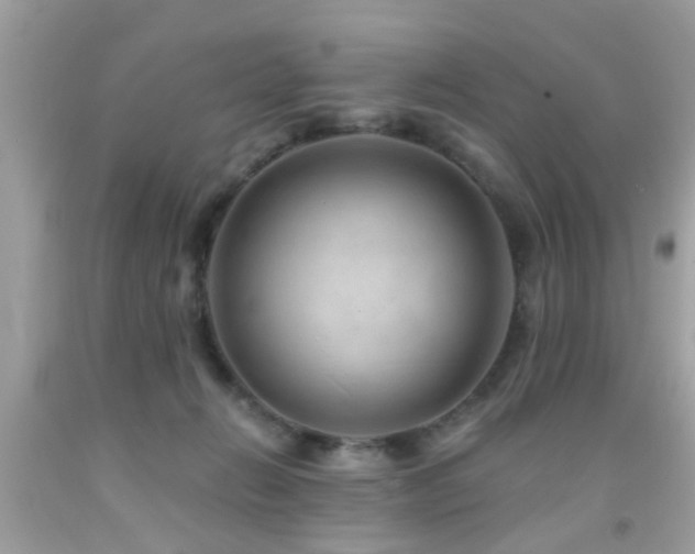 X0000092080270200709121450
