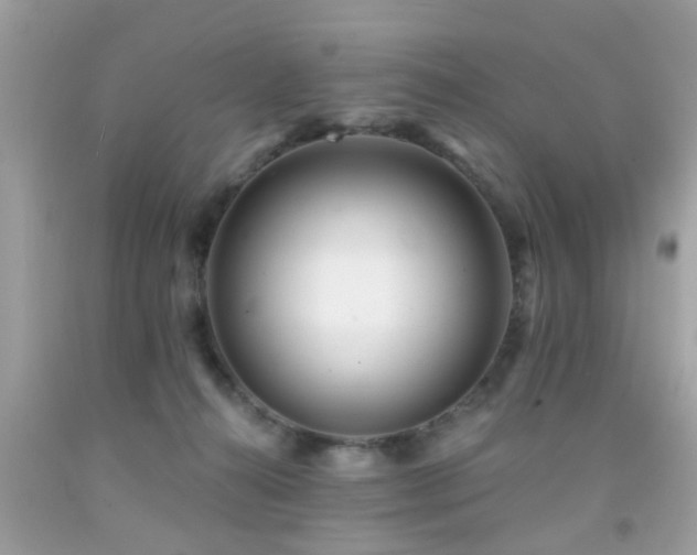 X0000092080272200709121450