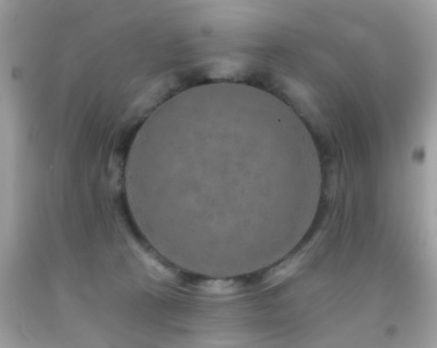 X0000092080273200709121450