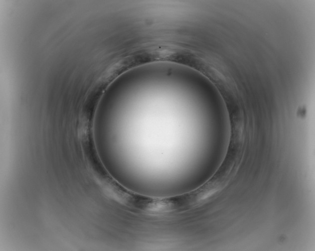 X0000092080274200709121450
