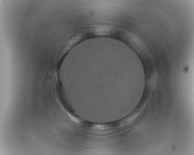 X0000092080277200709121450