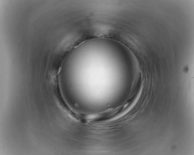 X0000092080280200709121450