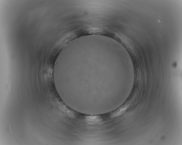 X0000092080281200709121450