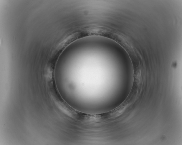 X0000092080282200709121450