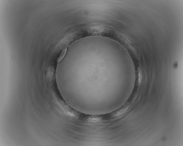 X0000092080283200709121450