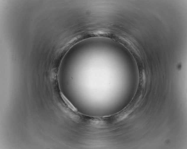 X0000092080284200709121450