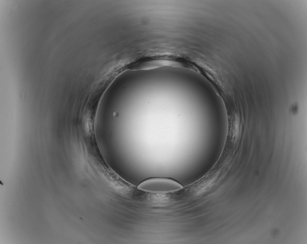 X0000092080287200709121450