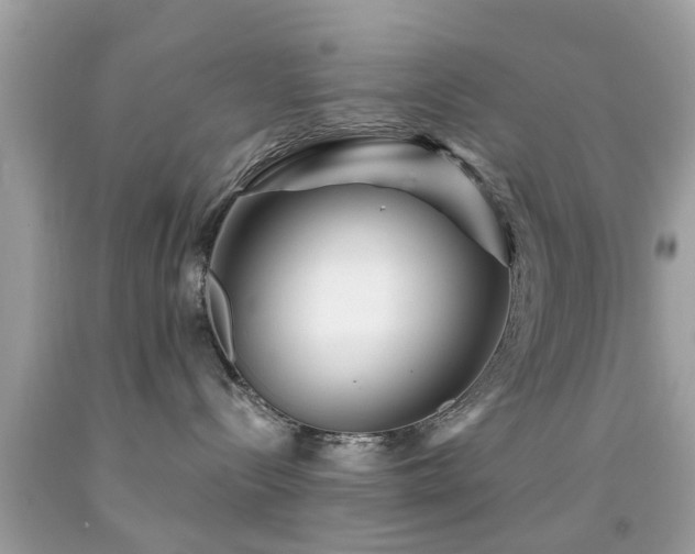 X0000092080288200709121450