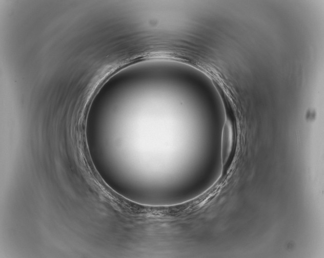 X0000092080289200709121450