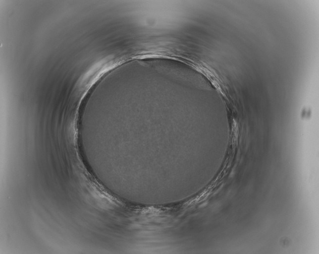 X0000092080290200709121450