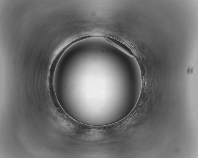 X0000092080292200709121450