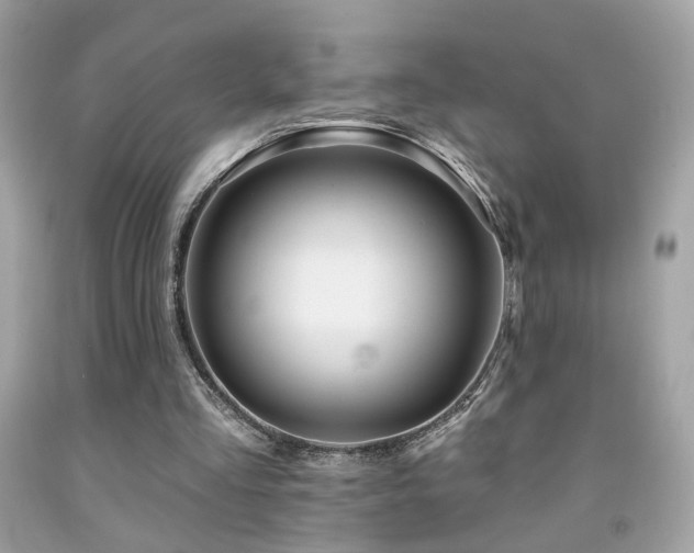 X0000092080293200709121450