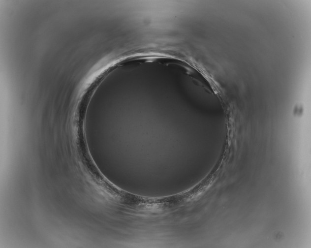 X0000092080295200709121449