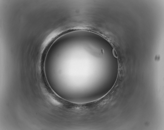 X0000092080296200709121449