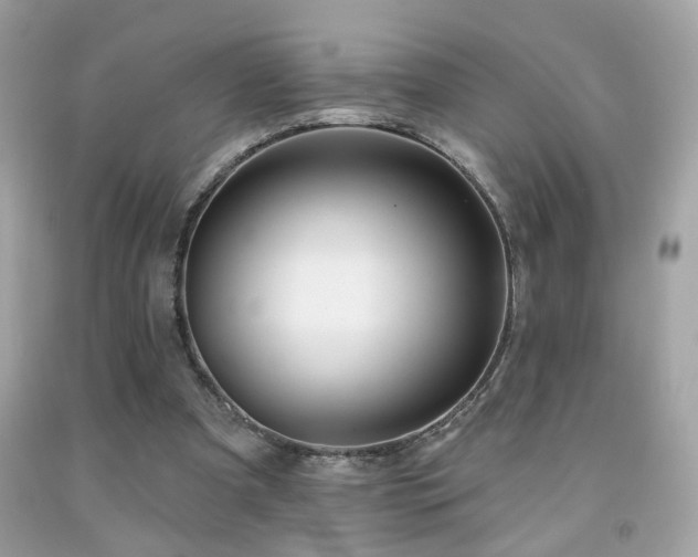 X0000092080297200709121449