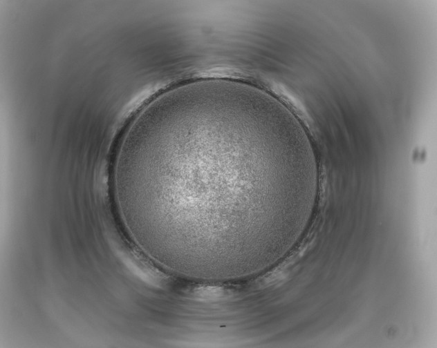 X0000092080298200709121449