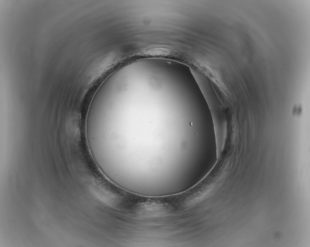 X0000092080300200709121449