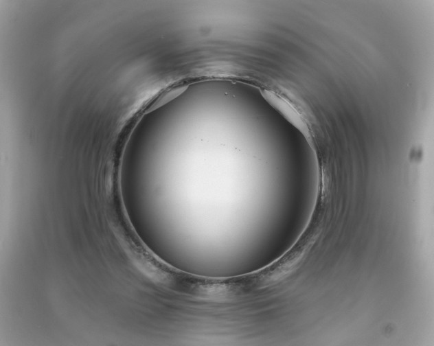 X0000092080301200709121449