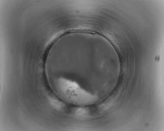 X0000092080303200709121449