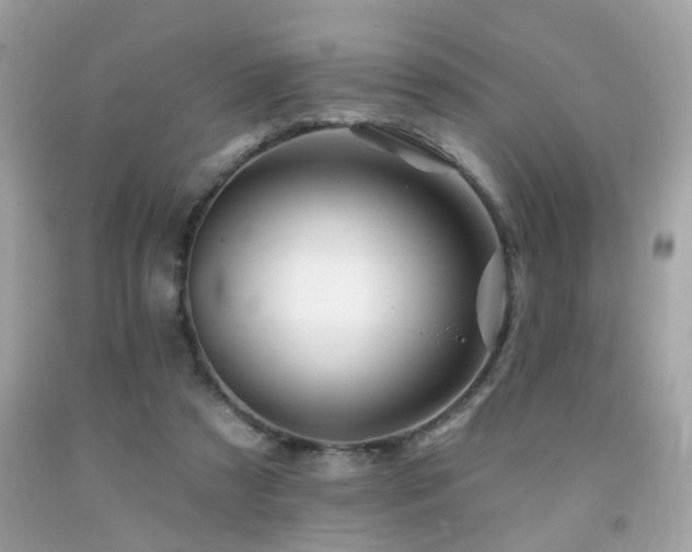X0000092080305200709121449