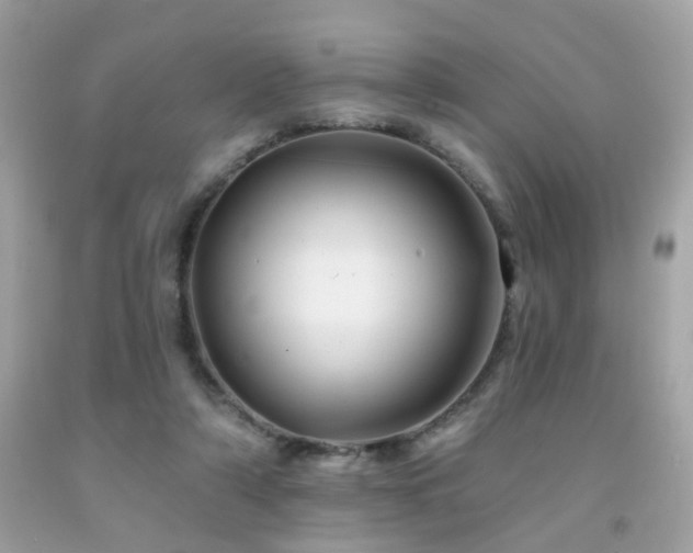 X0000092080306200709121449