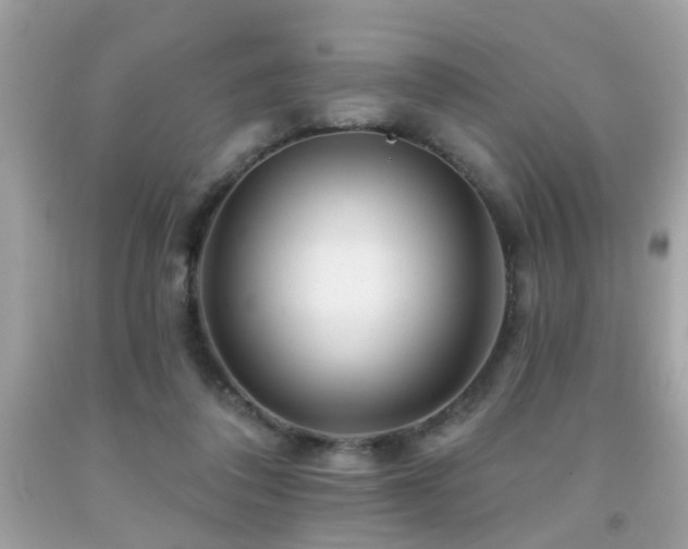 X0000092080308200709121449