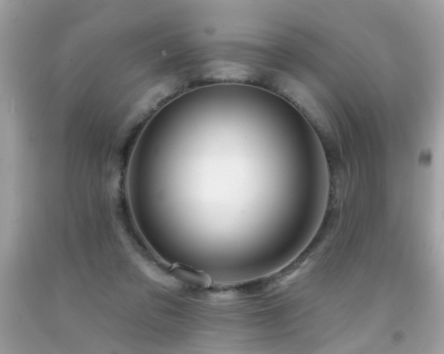 X0000092080309200709121449