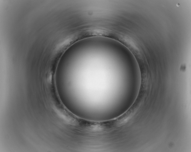 X0000092080310200709121449