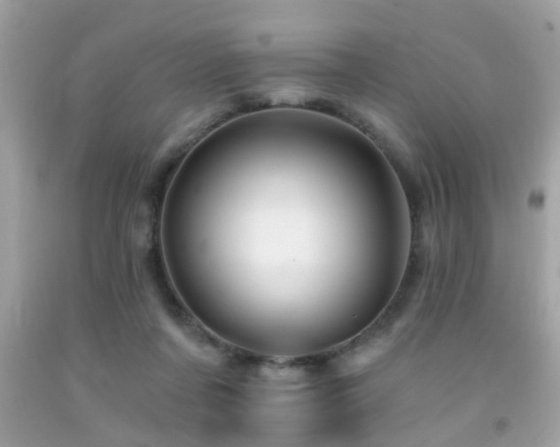 X0000092080311200709121449