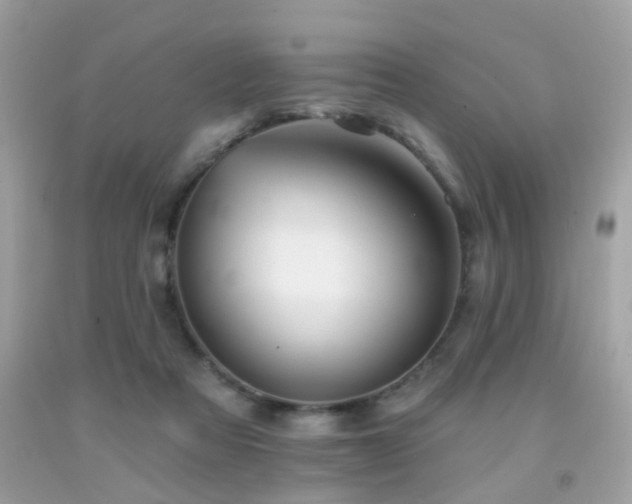 X0000092080313200709121449