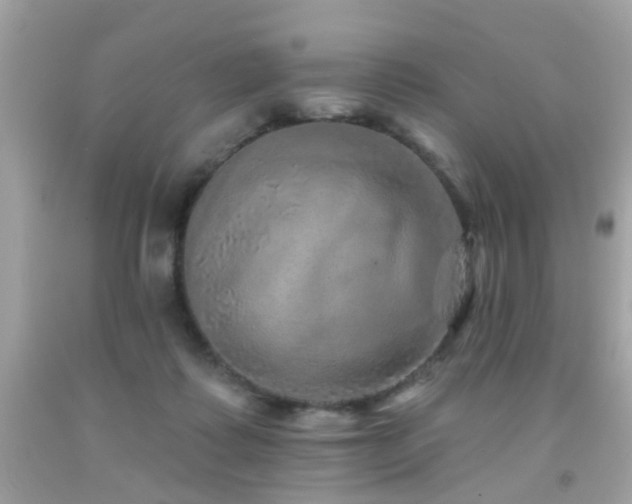 X0000092080315200709121449