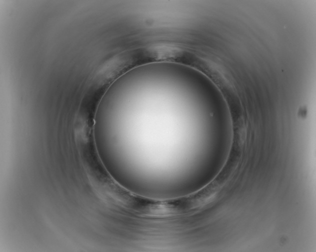 X0000092080316200709121449