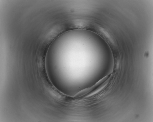 X0000092080317200709121449