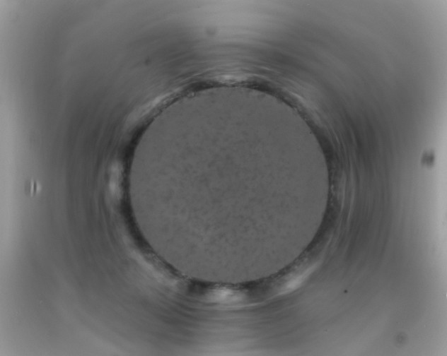 X0000092080319200709121449
