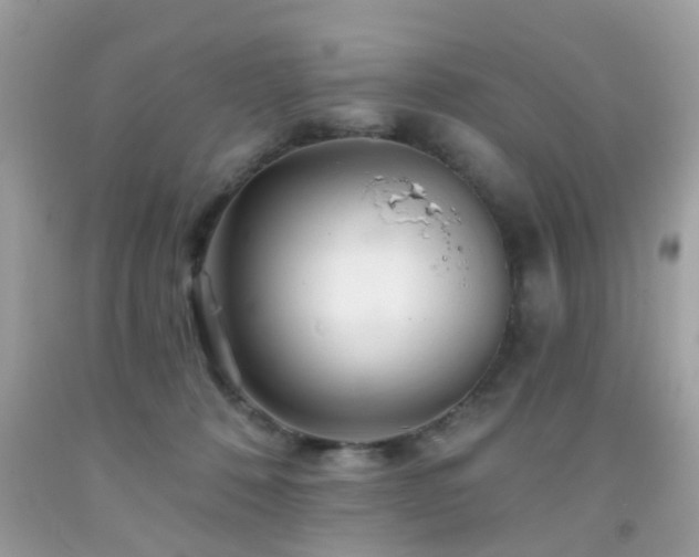 X0000092080320200709121449
