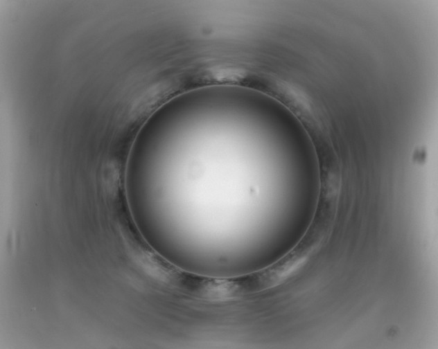 X0000092080321200709121449