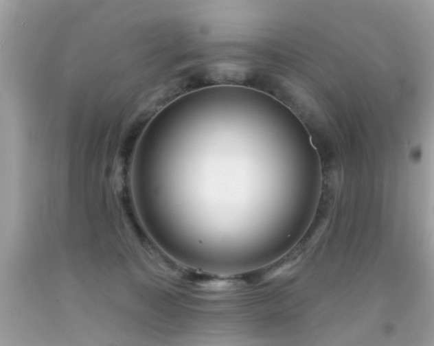 X0000092080323200709121449