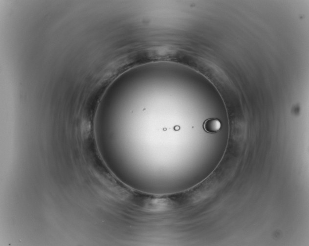 X0000092080324200709121449