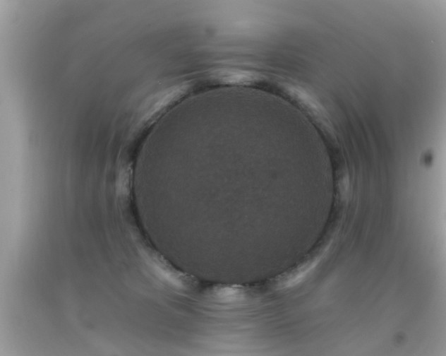 X0000092080325200709121449