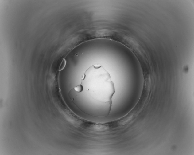X0000092080327200709121449