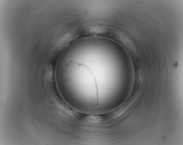 X0000092080328200709121449
