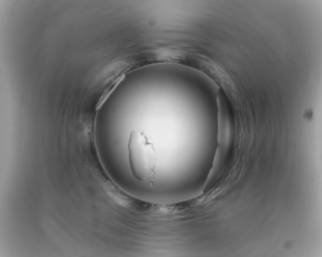 X0000092080329200709121449
