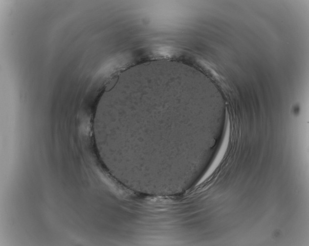 X0000092080331200709121449